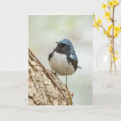 黒喉の青い反り カード (黄色い花)