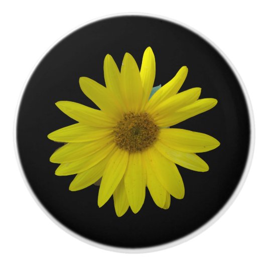黒地にヒマワリ（黄） セラミックノブ (正面)