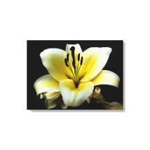 黒地に優雅な黄色の花