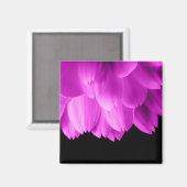 黒地に熱いピンクの花びら マグネット (正面/裏面)
