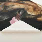 黒地のドイツ人の羊飼い シェルパブランケット (3/4)