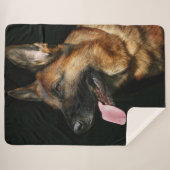 黒地のドイツ人の羊飼い シェルパブランケット (正面(横))