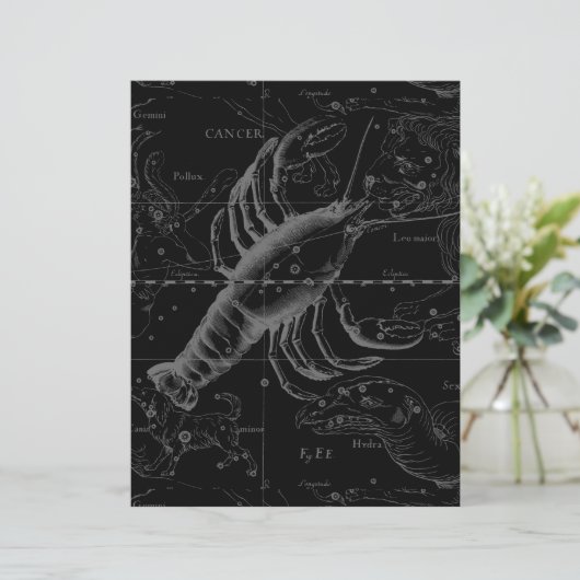 黒天がん星座1690年 (スタンド正面)