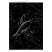 黒天がん星座1690年 (正面)