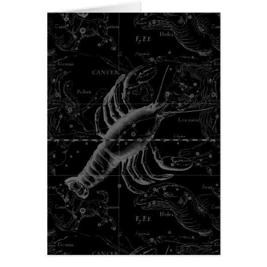 黒天がん星座1690年 (正面)