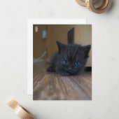 黒子猫 ノートカード (正面/裏面インサイチュ)