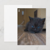 黒子猫 ノートカード (正面/裏面)