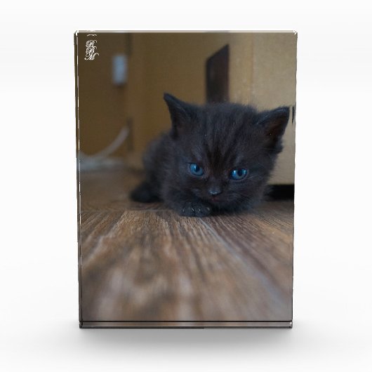 黒子猫 フォトブロック (正面)