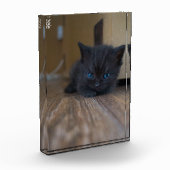 黒子猫 フォトブロック (左)