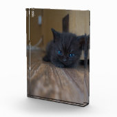 黒子猫 フォトブロック (右)