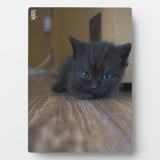 黒子猫 フォトプラーク (正面)