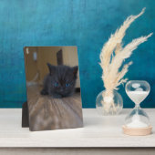 黒子猫 フォトプラーク (側面)