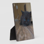 黒子猫 フォトプラーク (側面)