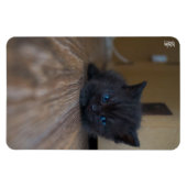 黒子猫 マグネット (横)