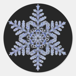 黒実在のスノーフレーク ラウンドシール