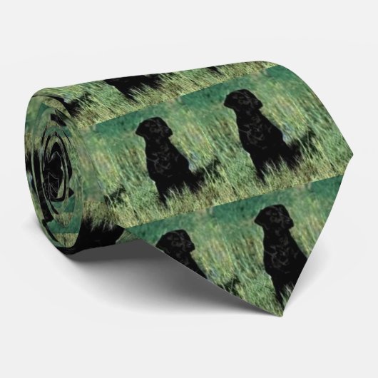 黒実験室着席、 ネクタイ (ロール)