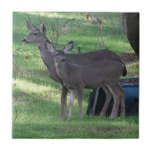 黒尾鹿陶瓦2枚 タイル (正面)