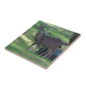 黒尾鹿陶瓦2枚 タイル (側面)