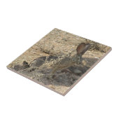 黒後につかれたジャックウサギ タイル (側面)