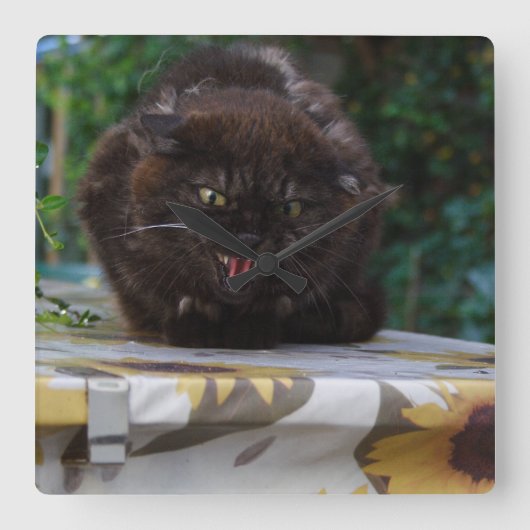 黒怒猫 スクエア壁時計 (正面)