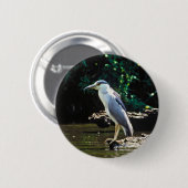 黒戴冠させた夜鷲 缶バッジ (正面&裏面)