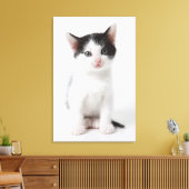 黒斑子猫 キャンバスプリント (インサイチュ (リビング))
