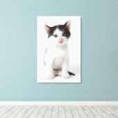 黒斑子猫 キャンバスプリント (インサイチュ (ウッドフロア))