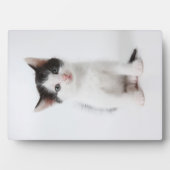 黒斑子猫 フォトプラーク (正面)