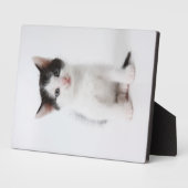 黒斑子猫 フォトプラーク (側面)