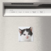 黒斑子猫 マグネット (インサイチュ (食洗機))