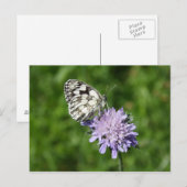 黒斑性白癬 ポストカード (正面/裏面)