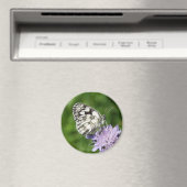 黒斑性白癬 マグネット (インサイチュ (食洗機))