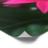 黒斑蝶とオレンジ斑蝶2 ポスター (角)