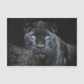 黒曜石の目のデコページ 薄葉紙 (正面)