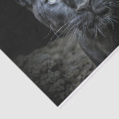 黒曜石の目のデコページ 薄葉紙 (詳細)