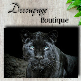 黒曜石の目のデコページ 薄葉紙