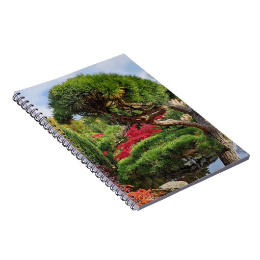 黒松と赤いイロハカエデの木 ノートブック (右側)