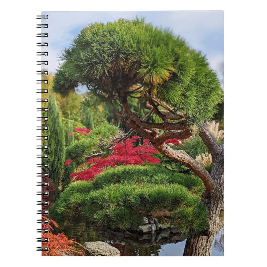 黒松と赤いイロハカエデの木 ノートブック (正面)