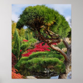 黒松と赤楓日本のの写真 ポスター (正面)