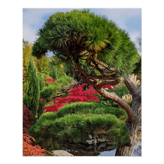 黒松と赤楓日本のの木 ポスター (正面)