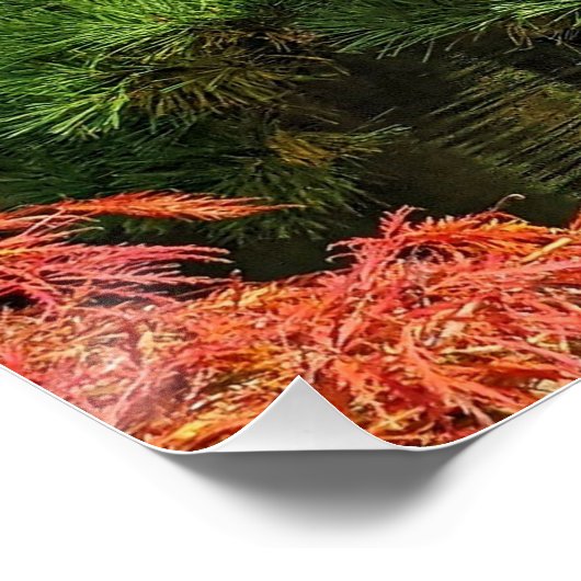 黒松と赤楓日本のの木 ポスター (コーナー)