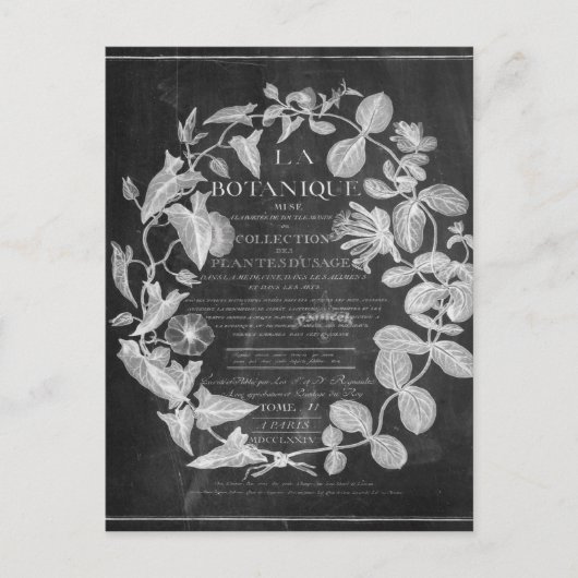 黒板フランスの台植物美術葉アイビー ポストカード (正面)