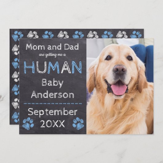 黒板ベビー犬の妊娠のお知らせ 案内状 (正面/裏面)