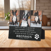 黒板 ペットロス 追悼 言葉 & 写真 コラージュ フォトプラーク