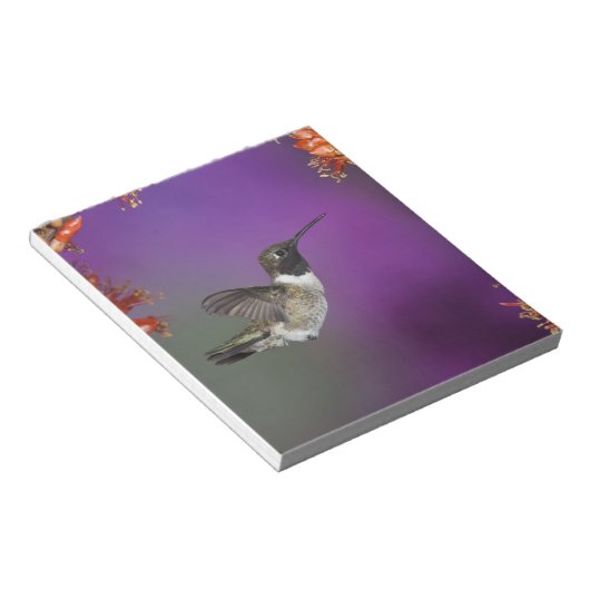 黒檀の木が生えたハミングバード、アルチロコス・アレクサンドリ、 ノートパッド (アングル)