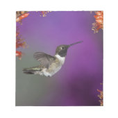 黒檀の木が生えたハミングバード、アルチロコス・アレクサンドリ、 ノートパッド (正面)