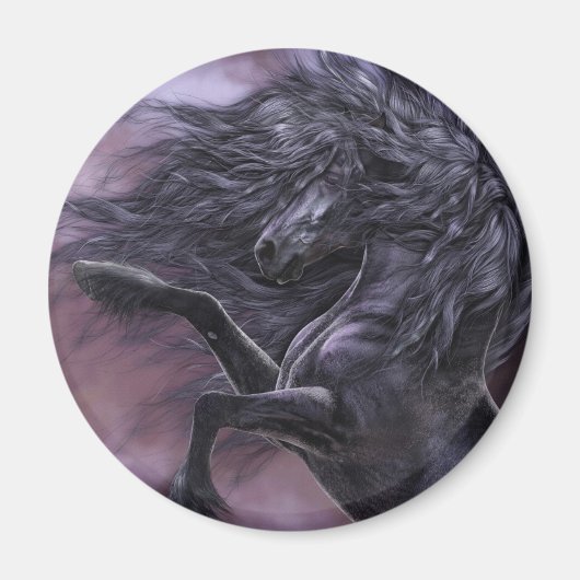 黒檀の火磁石 マグネット (正面)