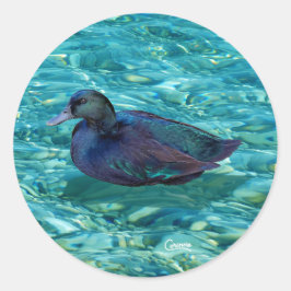 黒檀ダック – エンベロープシール ラウンドシール