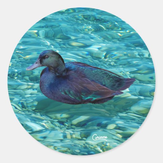 黒檀ダック – エンベロープシール ラウンドシール (正面)