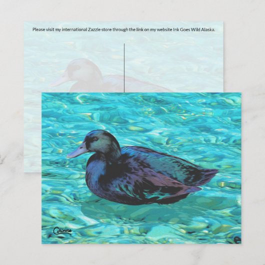 黒檀ダック – ポストカード (正面/裏面)